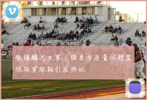 张镇麟总决赛上强度与质量问题显现踩穿球鞋引发热议